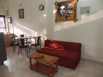 Sofa cum Bed in Living Room-compressed